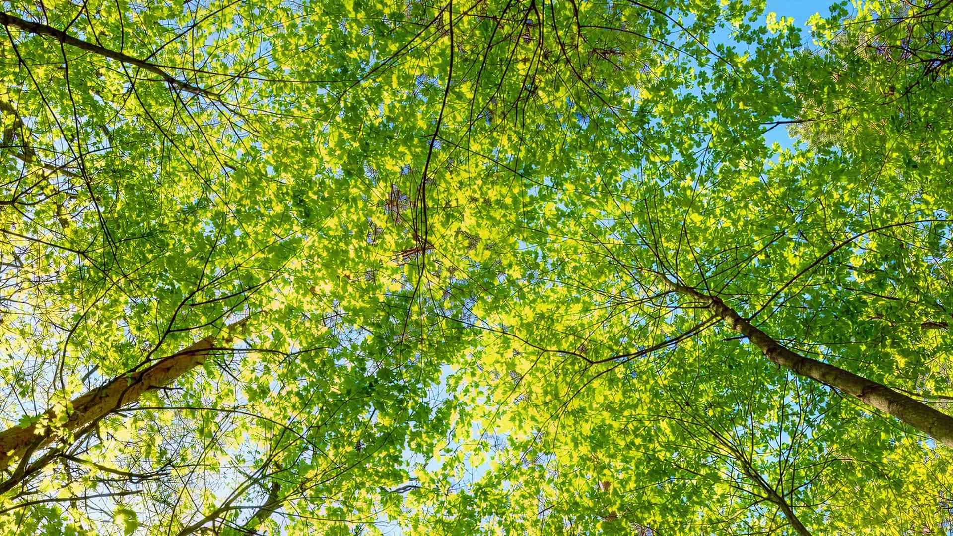 A Landmark Year for Equality and Sustainability