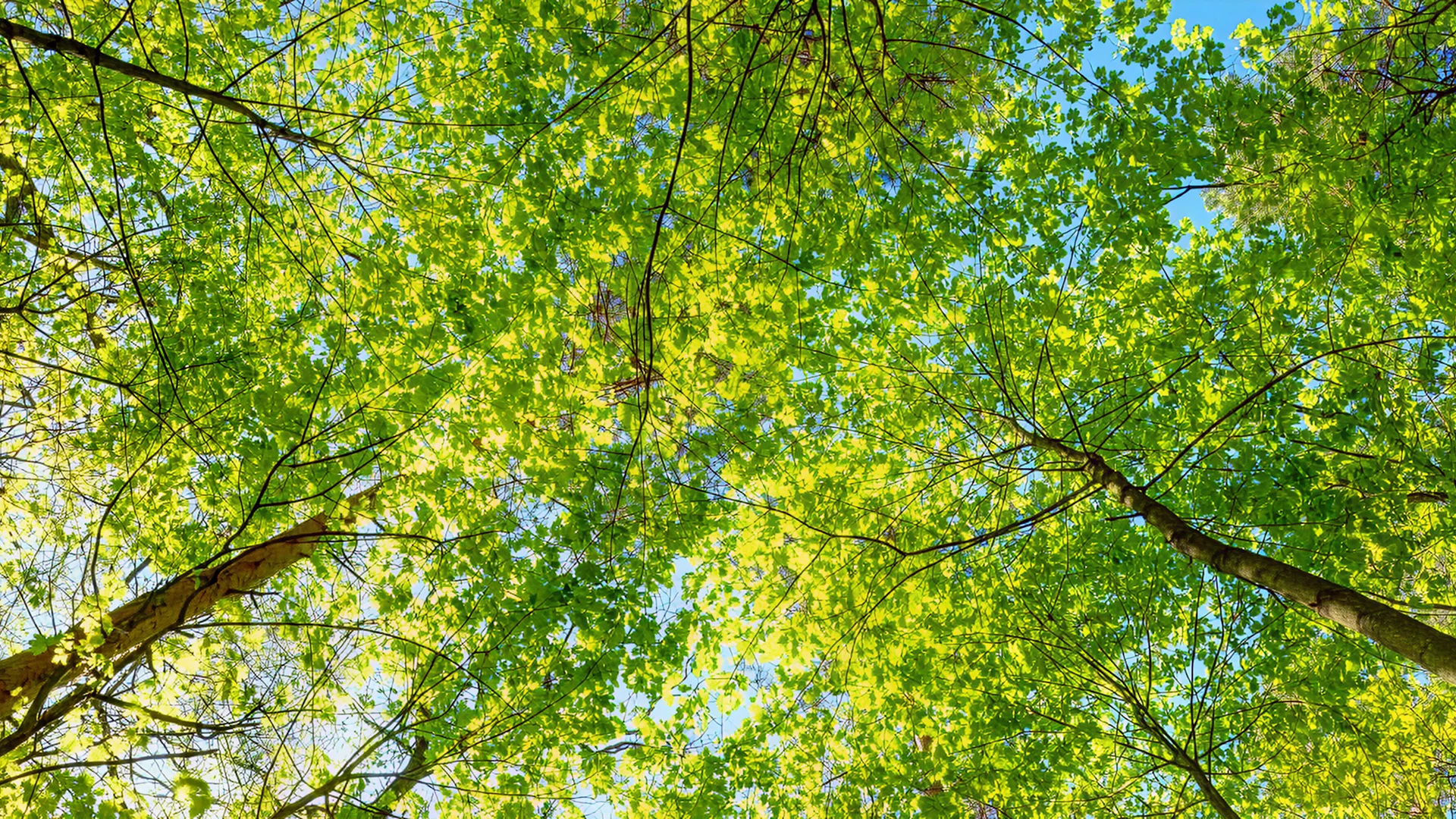 A Landmark Year for Equality and Sustainability